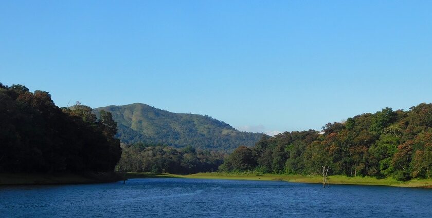 Why you should visit Thekkady